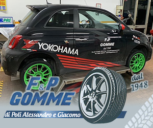 F&P GOMME