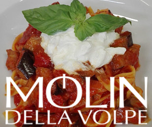 MOLIN DELLA VOLPE