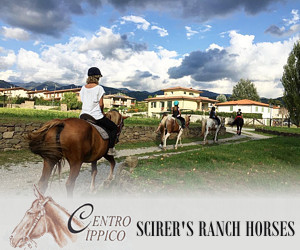 SCIRER'S RANCH HORSES