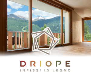 DRIOPE INFISSI