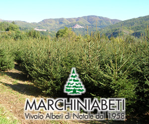 MARCHINI ABETI